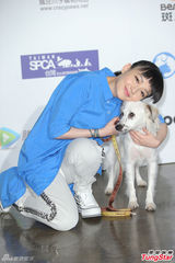 高清图：范晓萱拍微电影探讨动物虐待议题