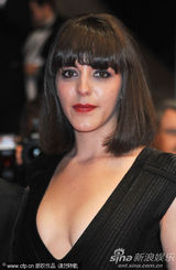 幻灯图集：导演迈克-李携主创出席《又一年》首映