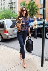 组图：米兰达透视蓝色上装携宠物狗出街派头十足