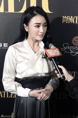 组图：秦岚复古长裙优雅亮相杂志晚宴 称经历蜕变