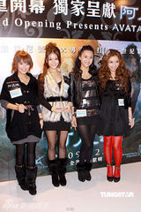 幻灯图集：《阿凡达》香港首映 杨受成张耀扬捧场