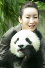 幻灯图：秦海璐四川领养大熊猫 变身“熊猫妈妈”