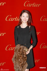 高清组图：刘嘉玲阮经天张智霖出席名店开幕派对