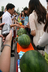 聚焦美丽山东-聊城参观李苦禅纪念馆