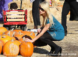 幻灯图：帕丽斯-希尔顿南瓜地拾趣 迎接万圣节