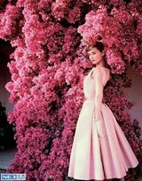 [老照片]奥黛丽-赫本85周年诞辰 天使在人间