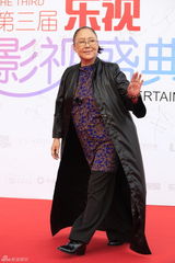 组图：乐视影视盛典红毯群星亮相星光熠熠