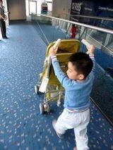 组图：Lucas与弟弟同床照曝光 柏芝母子秀潮装