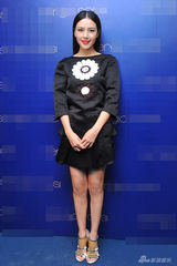 组图：高圆圆复古露背裙亮相 调侃不谈私生活