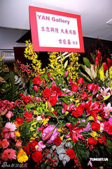 幻灯图集：方力申开画廊众星捧场 陈慧琳等助阵