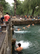 第九届网媒山东行启动 感受幸福泉城