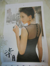 组图：林志玲2013年慈善年历曝光