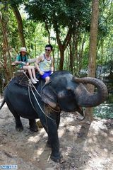 组图：钟镇涛带女儿海岛度假 丛林探险骑大象