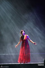 组图：林忆莲台北性感开唱 热情呼喊想歌迷