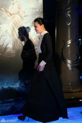 组图：《狄仁杰》首映红毯 冯小刚匆匆赶来