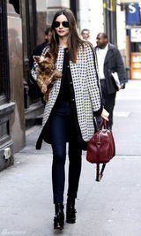 高清组图：超模米兰达-可儿纽约街拍怀抱宠物狗