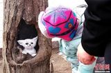 组图：女孩绘树洞画轰动全国获赞感动冬天
