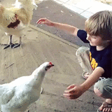 秒娱连珠：震惊!英4岁男孩街头招鸡