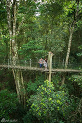 组图：陈赫攀千米高空示爱 携娇妻度蜜月