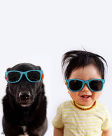 组图：台湾流浪狗被跨海收养 萌狗萌娃照爆红