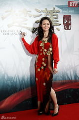 组图：《楚汉传奇》陈道明亮相宋祖英助阵