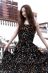 高清组图：陶红新写真 布达拉宫前演绎优雅