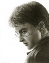 组图：兰迪=阿特伍德绘制栩栩如生的明星铅笔画 