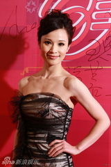 幻灯：《美丽俏佳人》千集红毯 群星云集星光熠熠