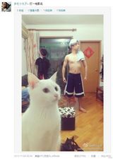 组图：微博掀少年派模仿潮 明星草根齐上阵