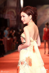 组图：亚太影展女星比美 侯佩岑温碧霞红毯争艳