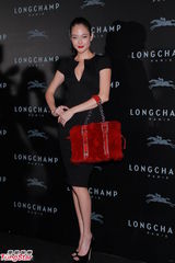 组图：刘嘉玲高圆圆等盛装出席时尚派对