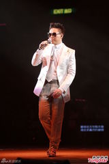 高清图：众巨星撑场雷颂德个唱 杨千嬅蕾丝诱惑