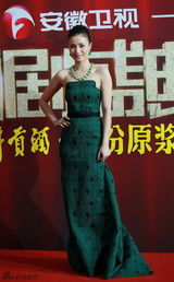 组图：众星云集国剧盛典 金宇彬朴信惠首度来华