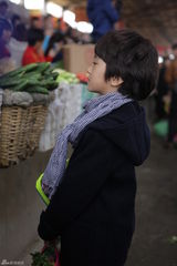 组图：《爸爸去哪儿》难度升级 小朋友独立买菜