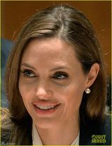 组图：朱莉联合国安理会辩论 谴责性暴力犯罪