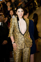 组图：伦敦华语电影节开幕 范冰冰美艳压轴