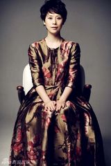 幻灯：海清油画质感写真气质高贵