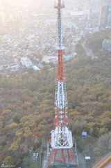 高清图：新浪娱乐探访韩国 登N首尔塔俯瞰城市