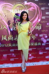 组图：陈廷嘉淡黄裙出席风尚权力盛典显温婉