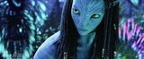 组图：《阿凡达》精彩剧照下载 卡梅隆创造奇幻世界