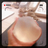 秒娱连珠：震惊!英4岁男孩街头招鸡