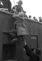 组图：《一九四二》历史背景原图