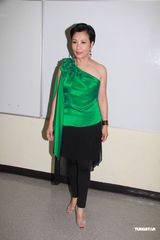 组图：汪明荃关菊英红配绿 罗兰胡枫刘以达同场