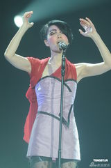 组图：王菲香港演唱会开场 刘嘉玲李亚鹏现身支持