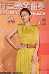 组图：谢金燕亮相红毯 自撩裙摆秀美腿