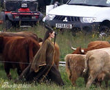 组图：朱莉新片顶牛角穿道袍 红唇妖艳颧骨分明