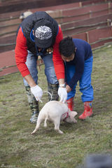 组图：《爸爸》老爸变装逗萌娃 小猪赛跑趣味多