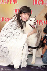 高清图：周慧敏圣诞节关爱流浪犬 平安夜与倪震度过