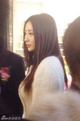 组图：柳岩爆乳现身 痴情少男爬树为睹芳容