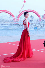 幻灯图集：董璇红裙亮相金鸡奖红地毯展优雅